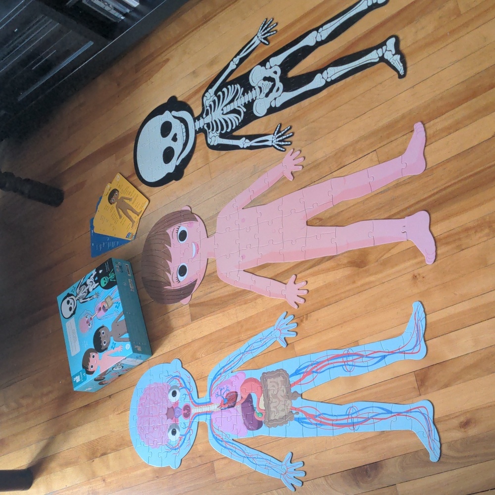 Janod 4 in 1 Puzzle Human Body Age 5+ Skeleton Glow In The Dark, Organs - Picture 4 of 15